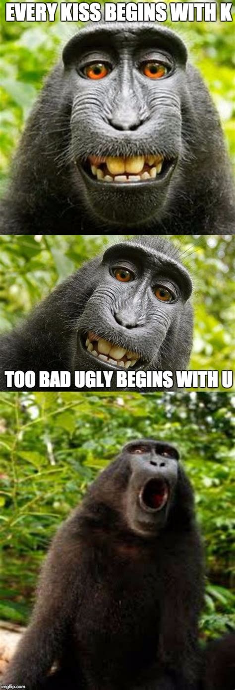 ugly monkey meme